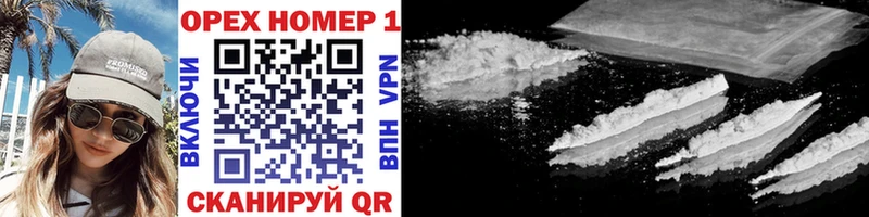 Cocaine Эквадор  blacksprut как войти  Гатчина  купить наркотики сайты 