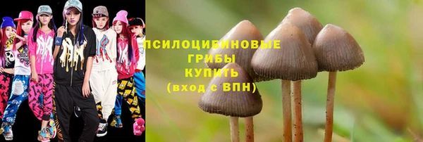 первитин Балахна