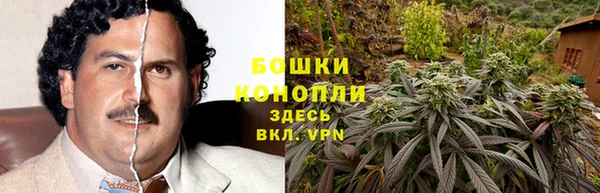 сатива Балабаново