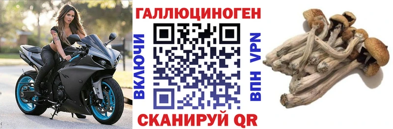 Псилоцибиновые грибы ЛСД  даркнет сайт  Гатчина 
