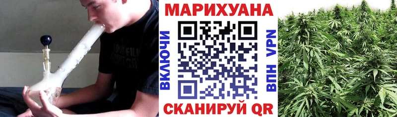 Бошки марихуана Amnesia Гатчина